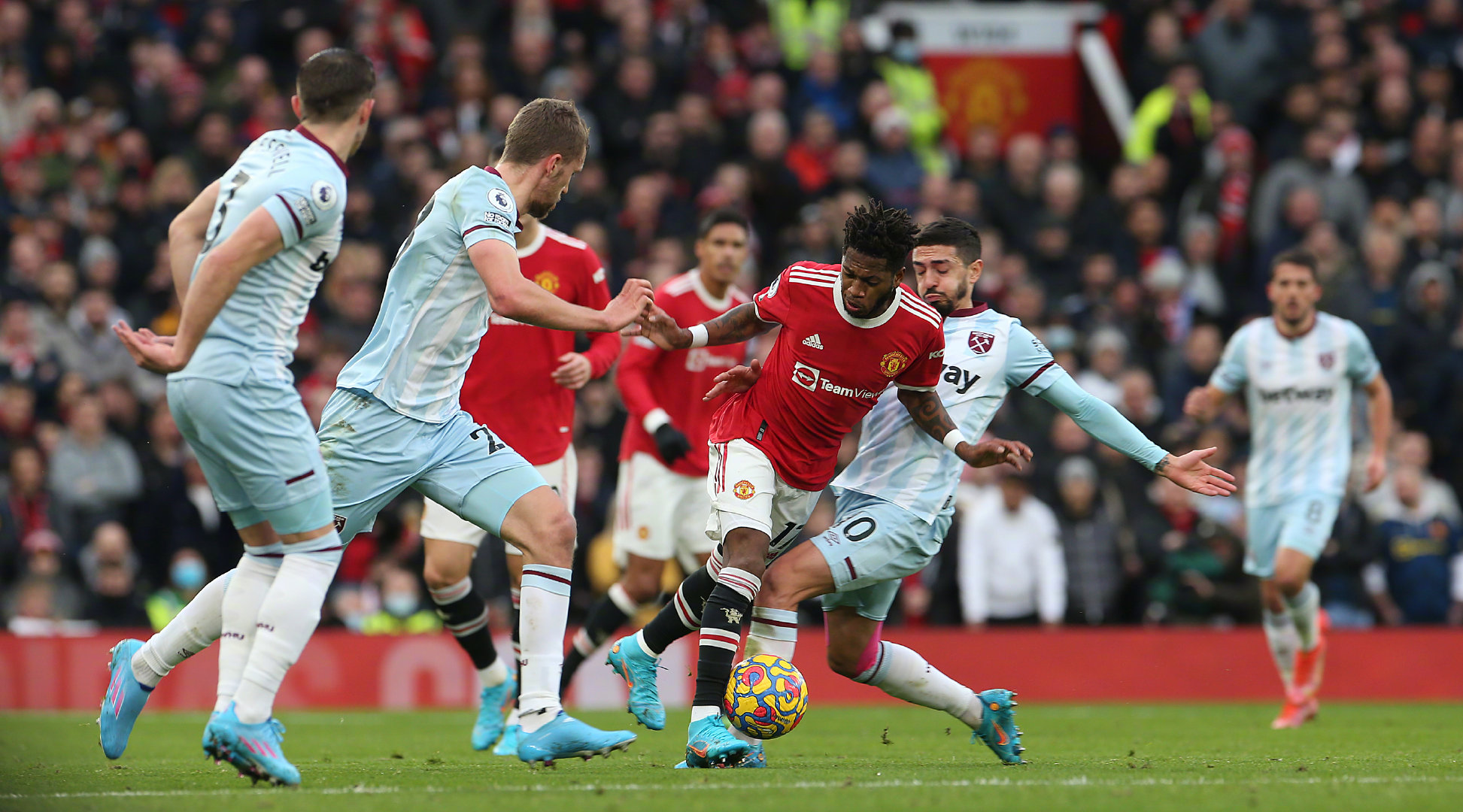 迷和专家的 迷和专家的